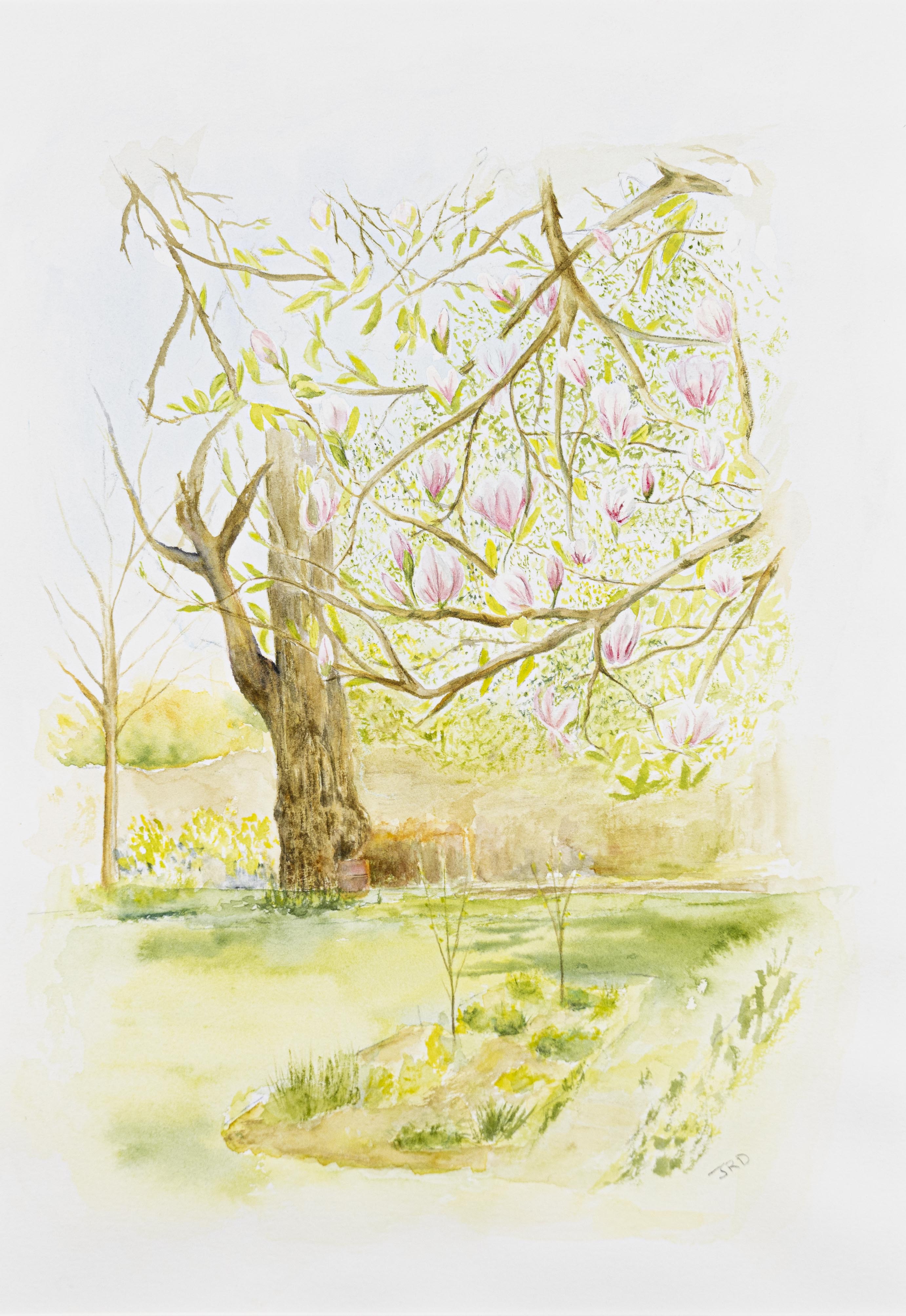 The Titleys’ Garden