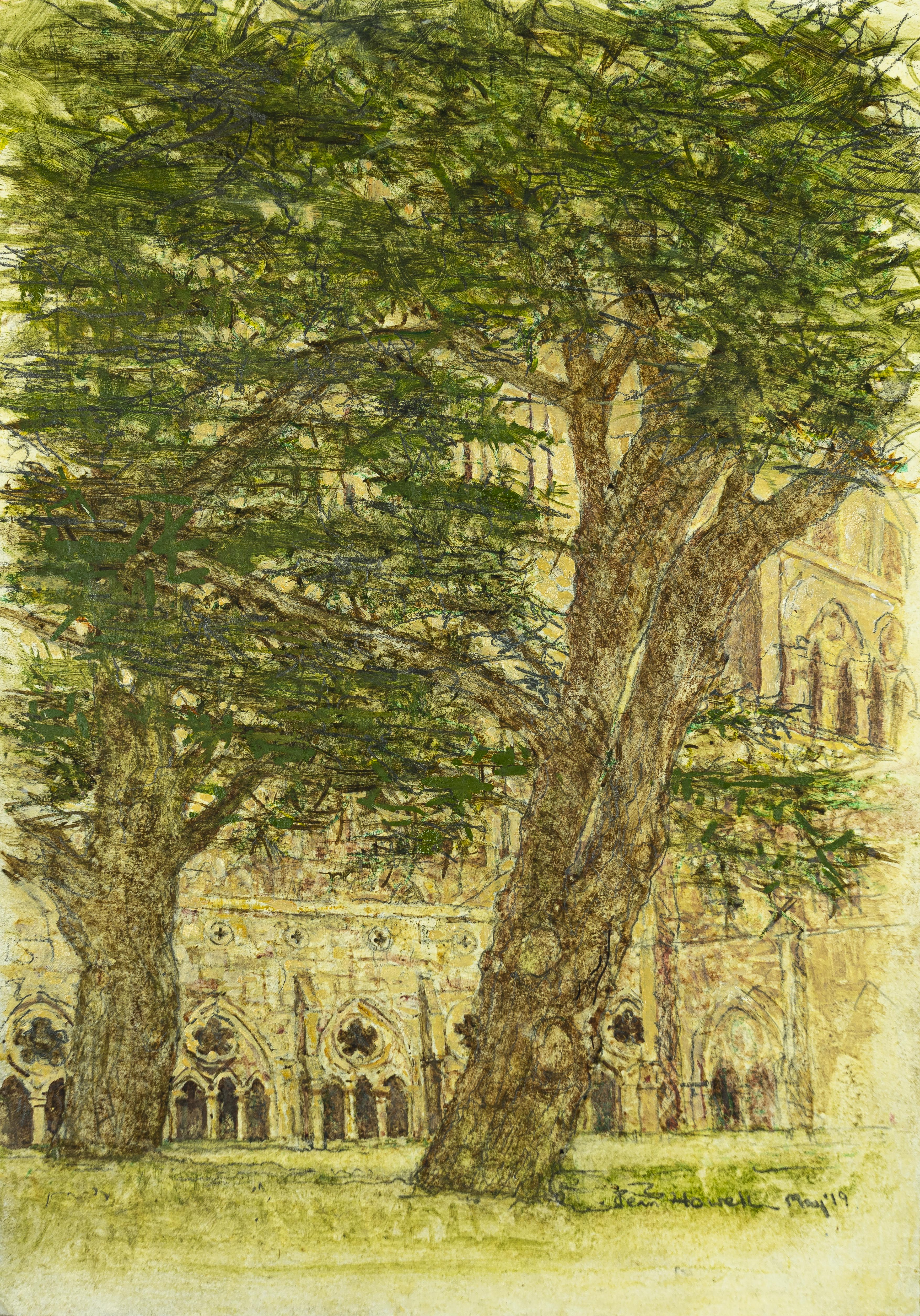 Cedrus libani