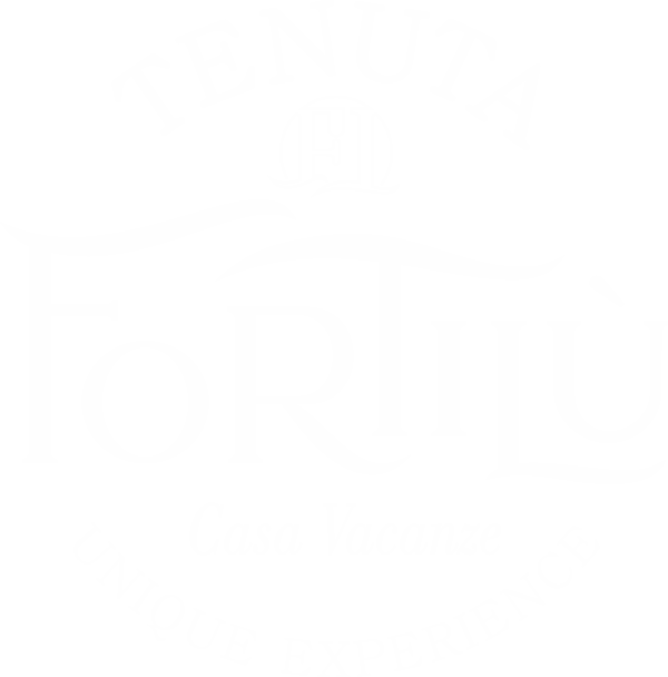 logo bianco fortilu