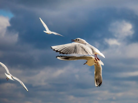 What Does It Mean To Seek God’s Kingdom First?