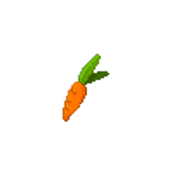 carrot
