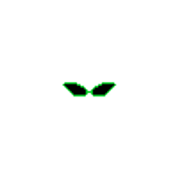 SunGlass