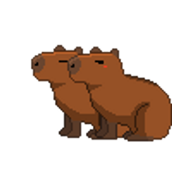 TwinCapy2