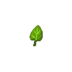 spinach