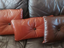 Leather covered Cushions