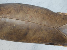 Leather Elephant Restoration-Before