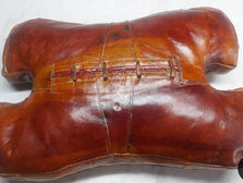 Camel Saddle Conservation