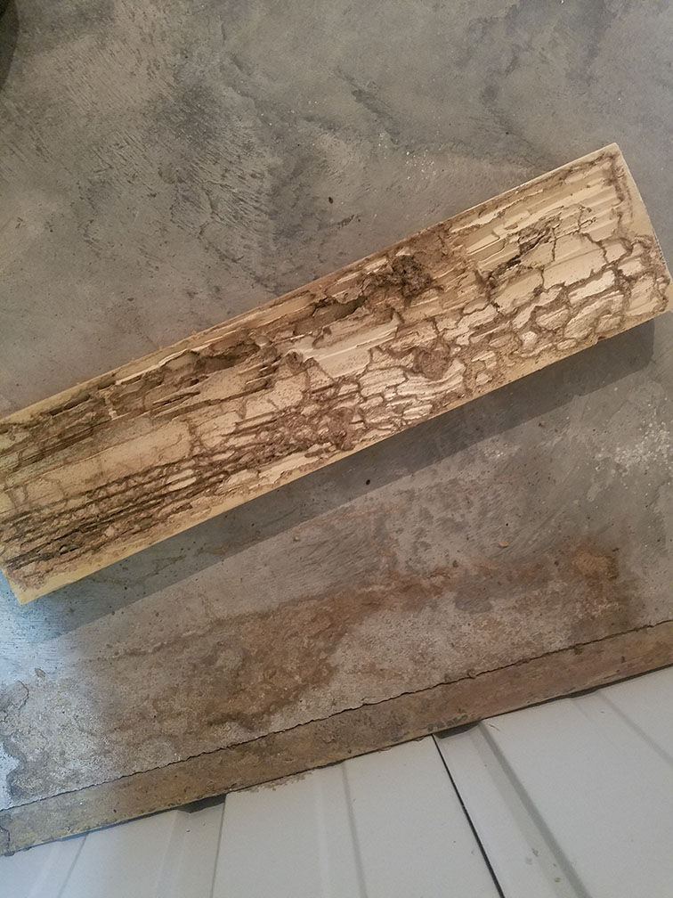 2x4 Damage