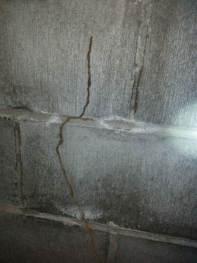 Termite Tube