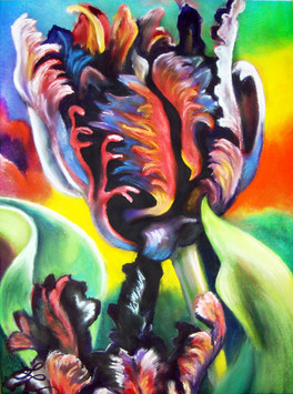 Black-Parrot-Mixed-media-painting-Lisa-Christopherson