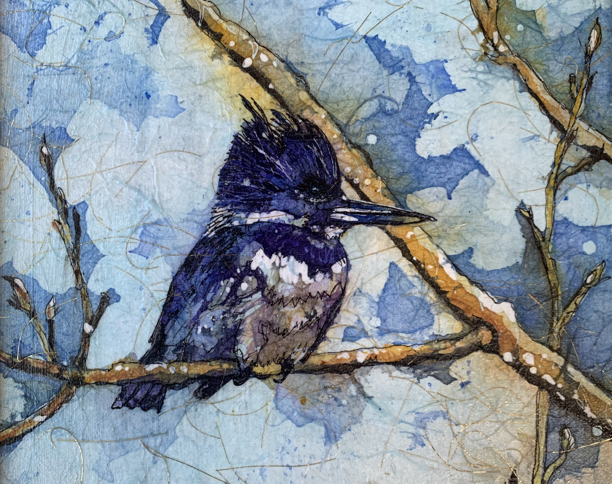 Kingfisher Siesta