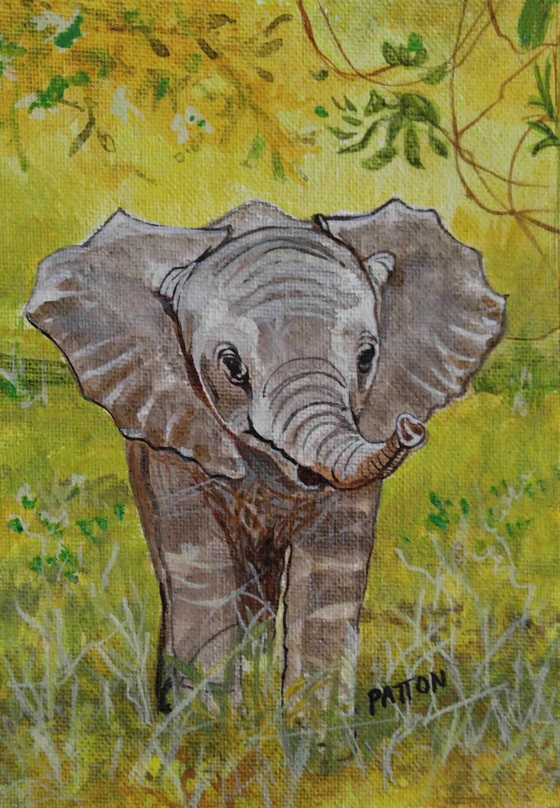 Baby Elephant