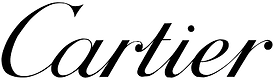 download (12).png