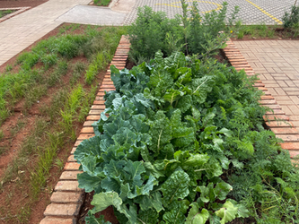 Recreation │ Anglo Park