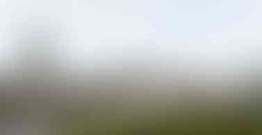 Commercial │ Assmang HOD