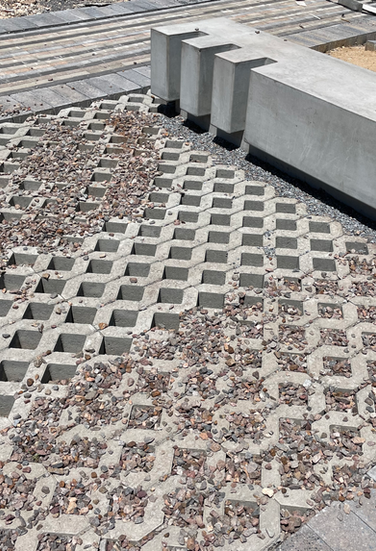 Recreation │ Anglo Park