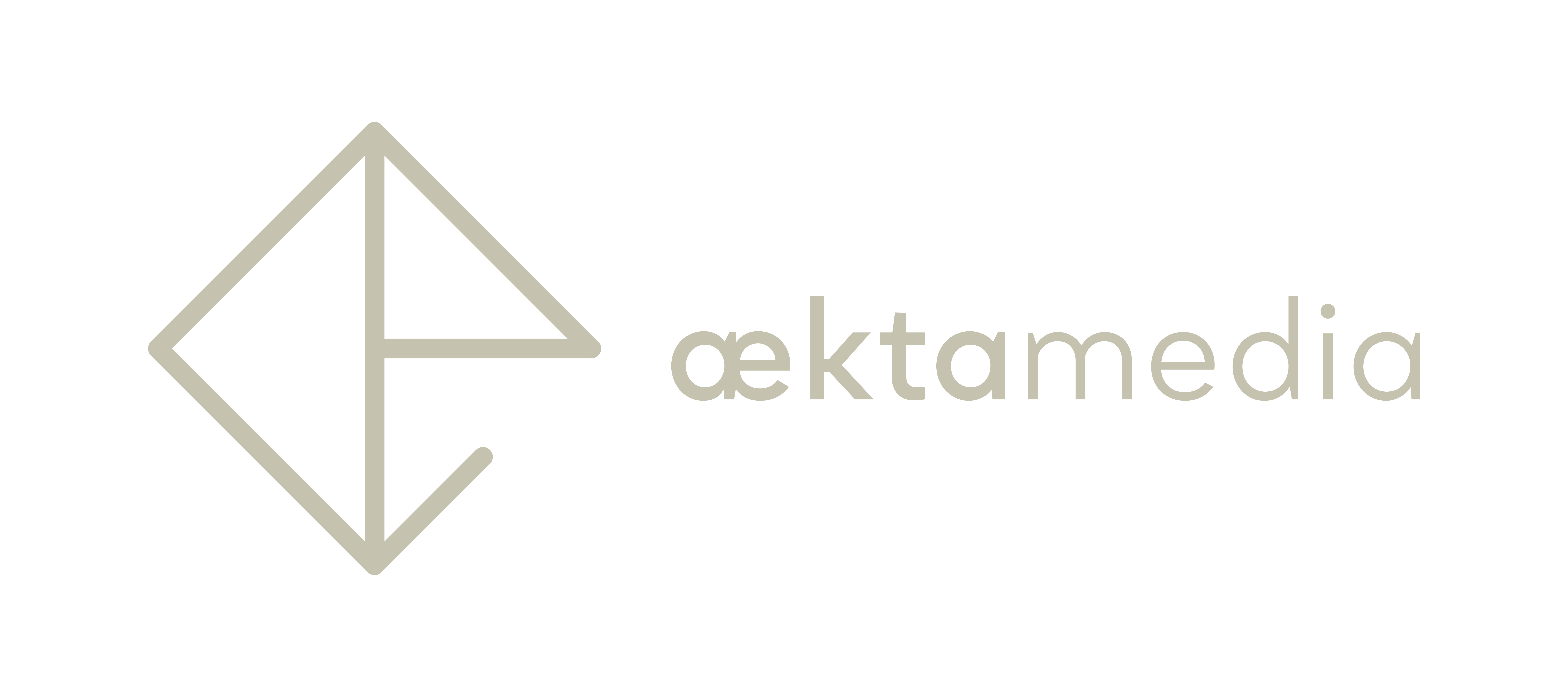 Aekta Media Logo Set Beige 2026_01 V1_Page 5.png