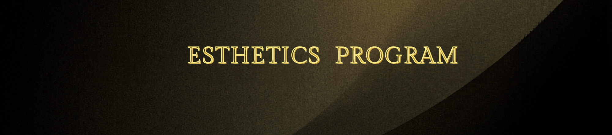 ESTHETICS Program.png