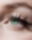 Eyelashes---top-dolls-004.jpg