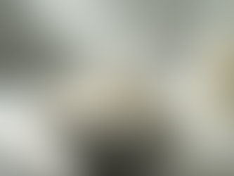 Cómo elegir la mejor leche en polvo