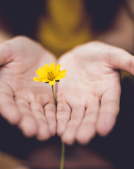 Une femme qui tient une fleur jaune au creux de ses mains
