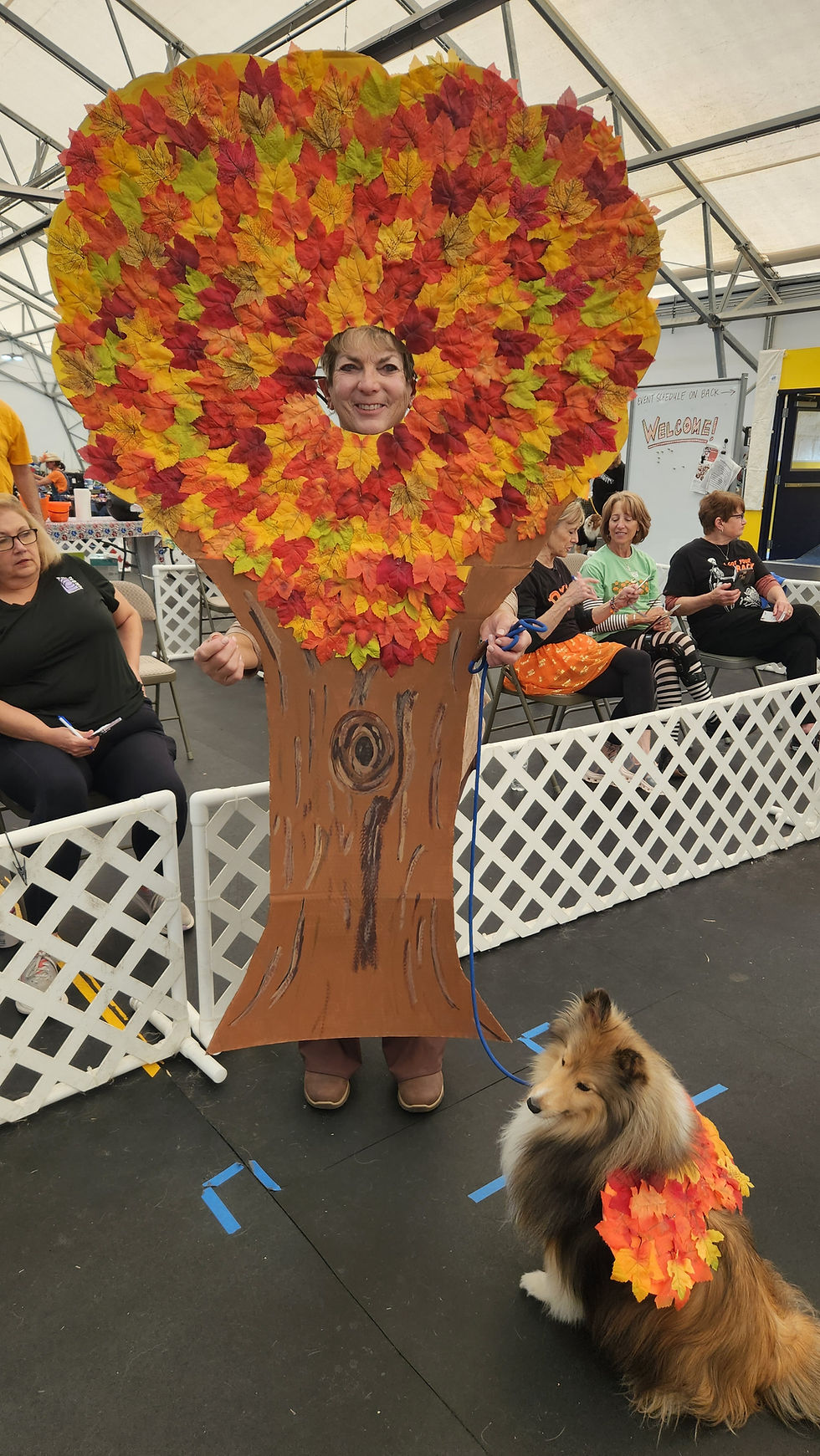 March AKC Scent Work