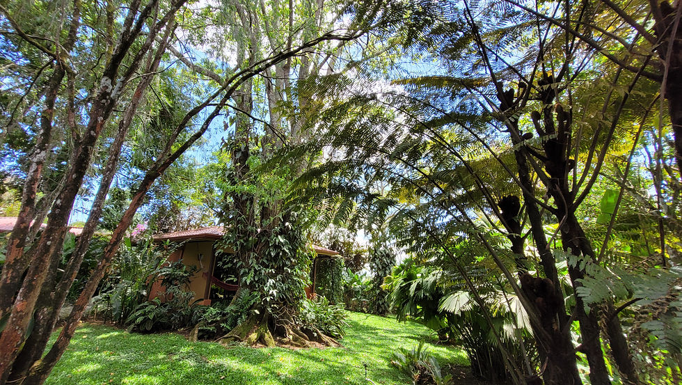Un bungalow dans un grand jardin à l'arrivée