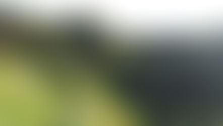 Hacienda Alsacia - Starbucks Coffee Farm