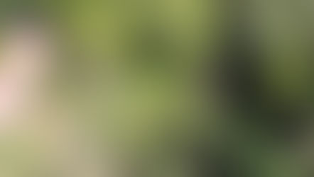 un écolodge pour votre première nuit