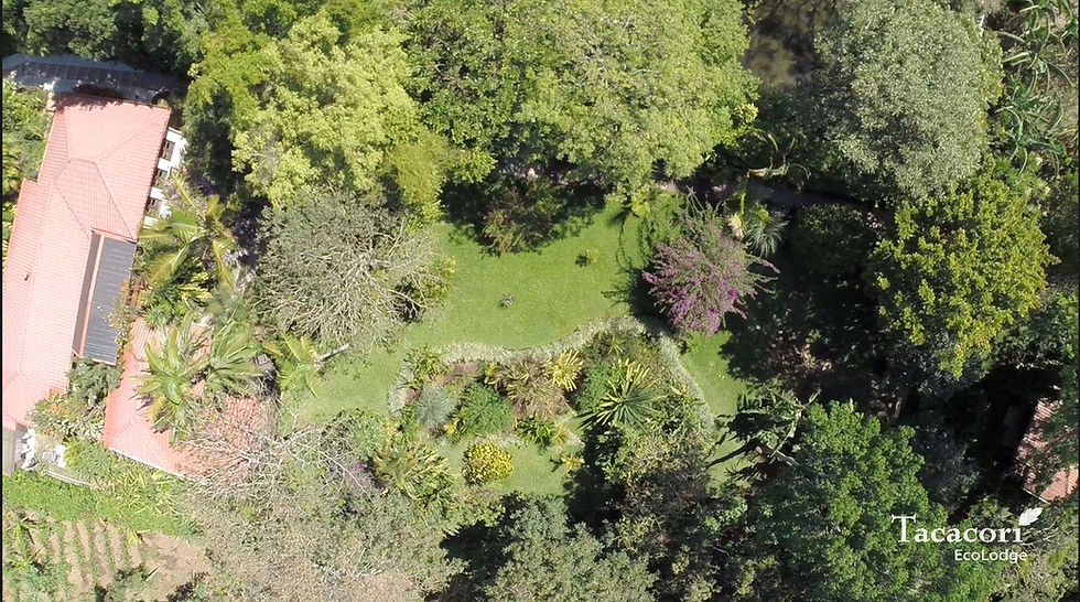 Vue panoramique d’un écolodge entouré de forêt tropicale