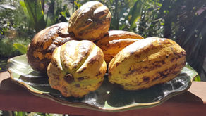 On a testé pour vous : la chocolathérapie