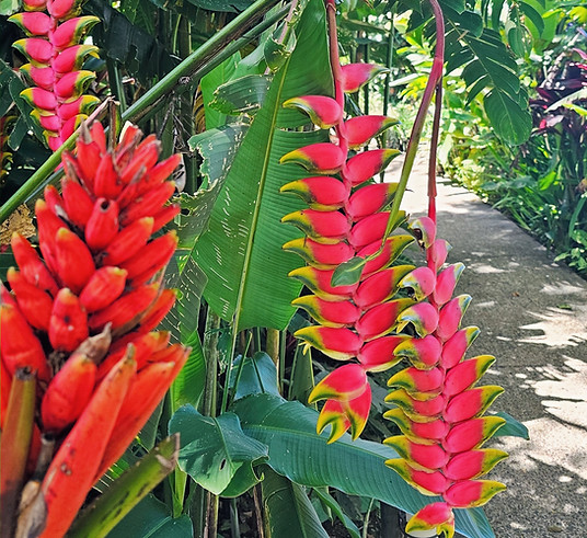 20250718_112022_edited.jpg