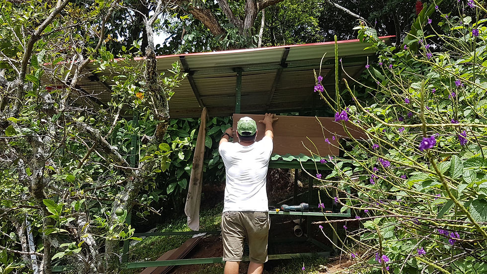 Un homme construit un poulailler