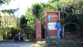 TACACORI EcoLodge a pignon sur rue