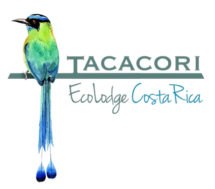 logo_CR_VF_web_edited.png