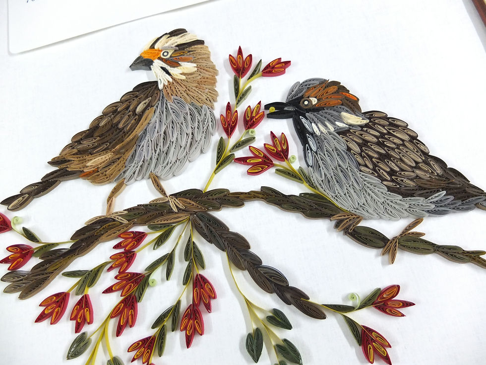 Thumbnail: White Crowned Sparrow