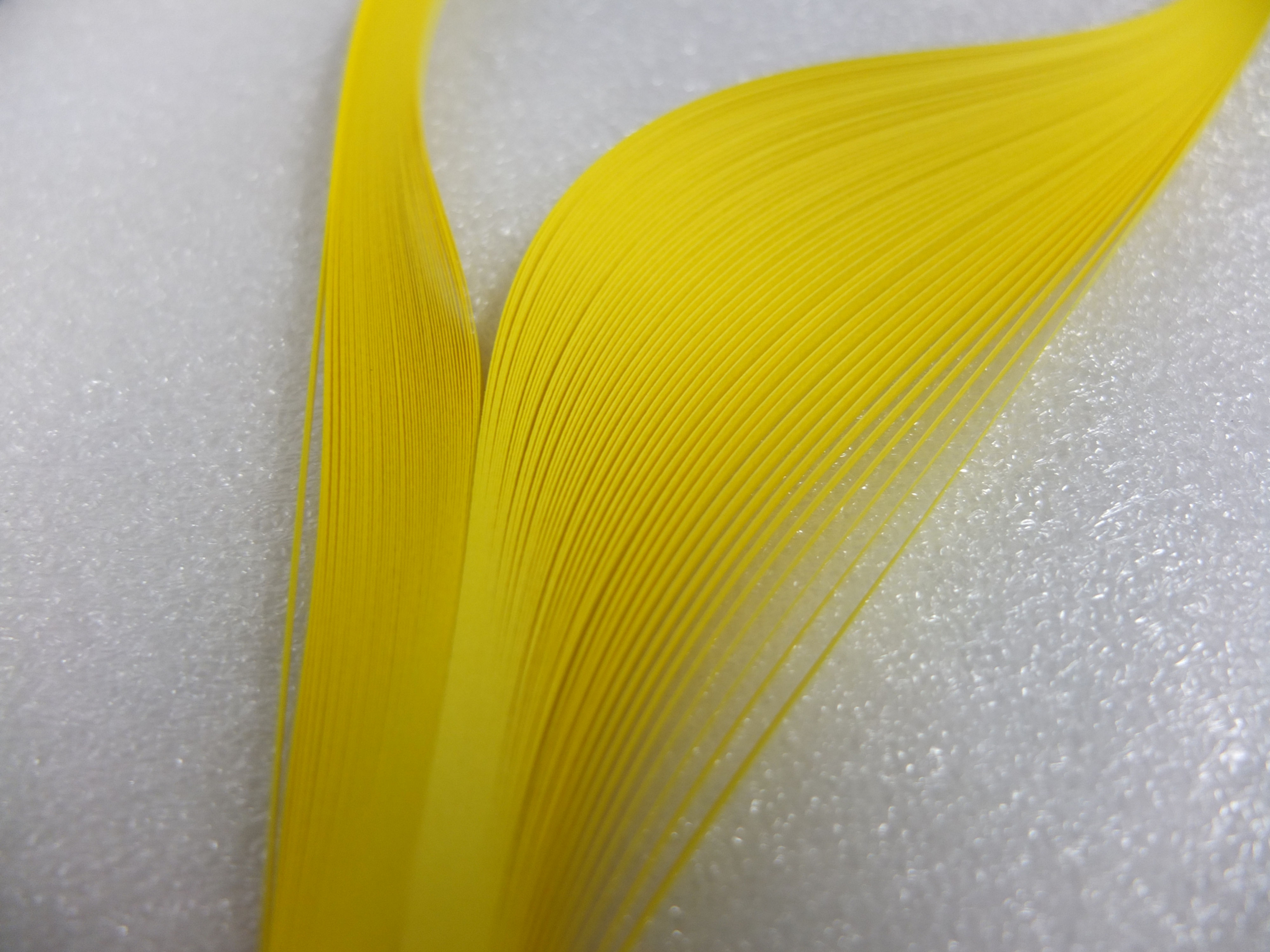 Quilling Paper - Light Yellow