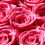 Thumbnail: Preserved Roses in 7” Heart Box, Red