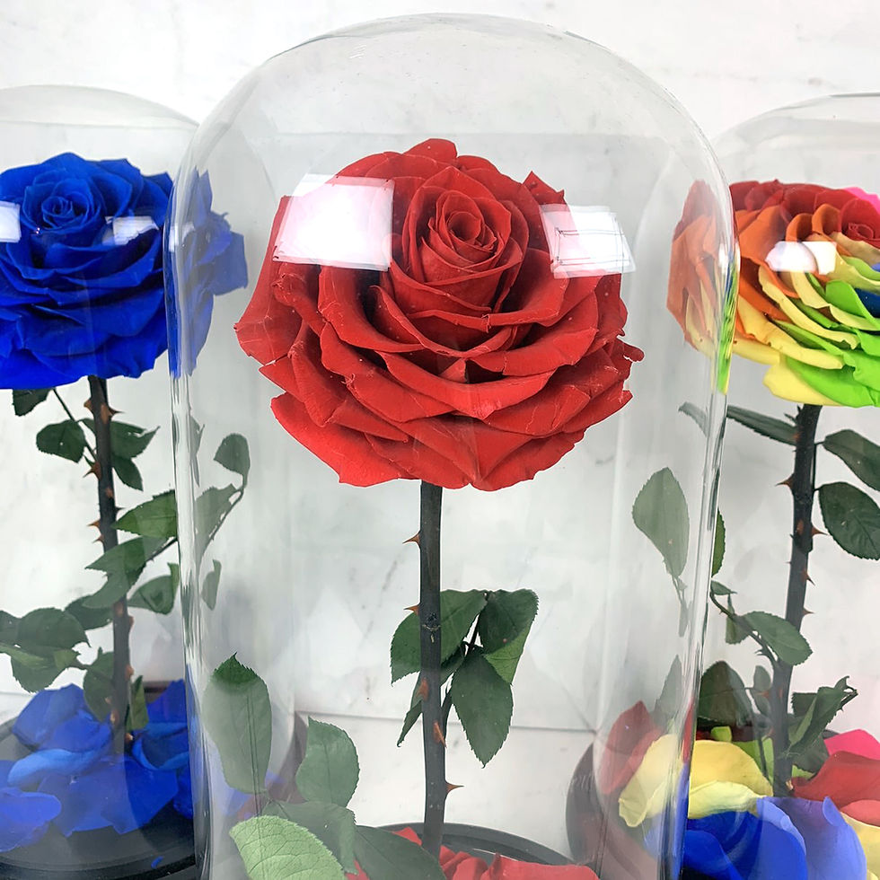 Thumbnail: 12.5" Preserved Rose in Beauty and the Beast Dome, Rainbow