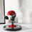 Thumbnail: 11” LED Light Beauty and the Beast Preserved Rose