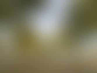 Pide vialidad no estacionar vehiculos en la calzada por desfile revolucionario