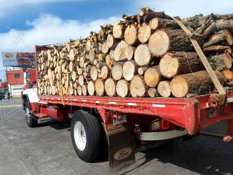 Policía Estatal detiene a responsable de transporte ilícito de material forestal