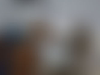 Benito llegó a su nuevo hogar