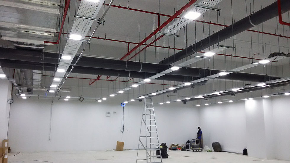 Ceiling works