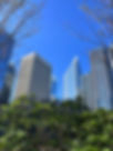 IMG_1890.jpeg