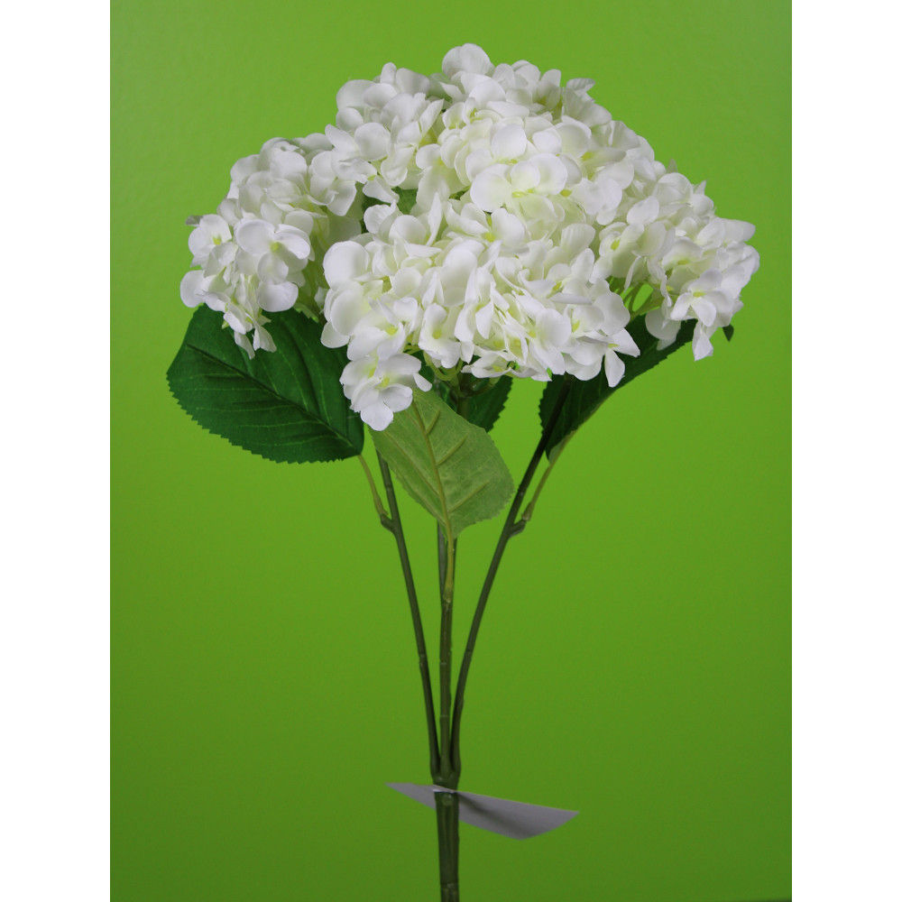 Hydrangea Bush- White