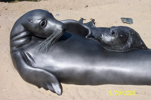 haggerty_ian_seal_pup_closeupTHIS IS FOR