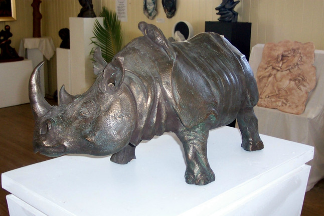haggerty_ian_rhino_.jpeg
