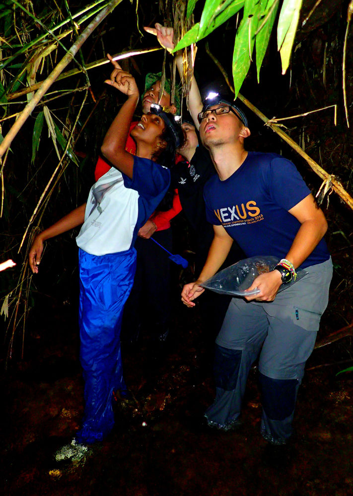 Sinharaja herping (34)
