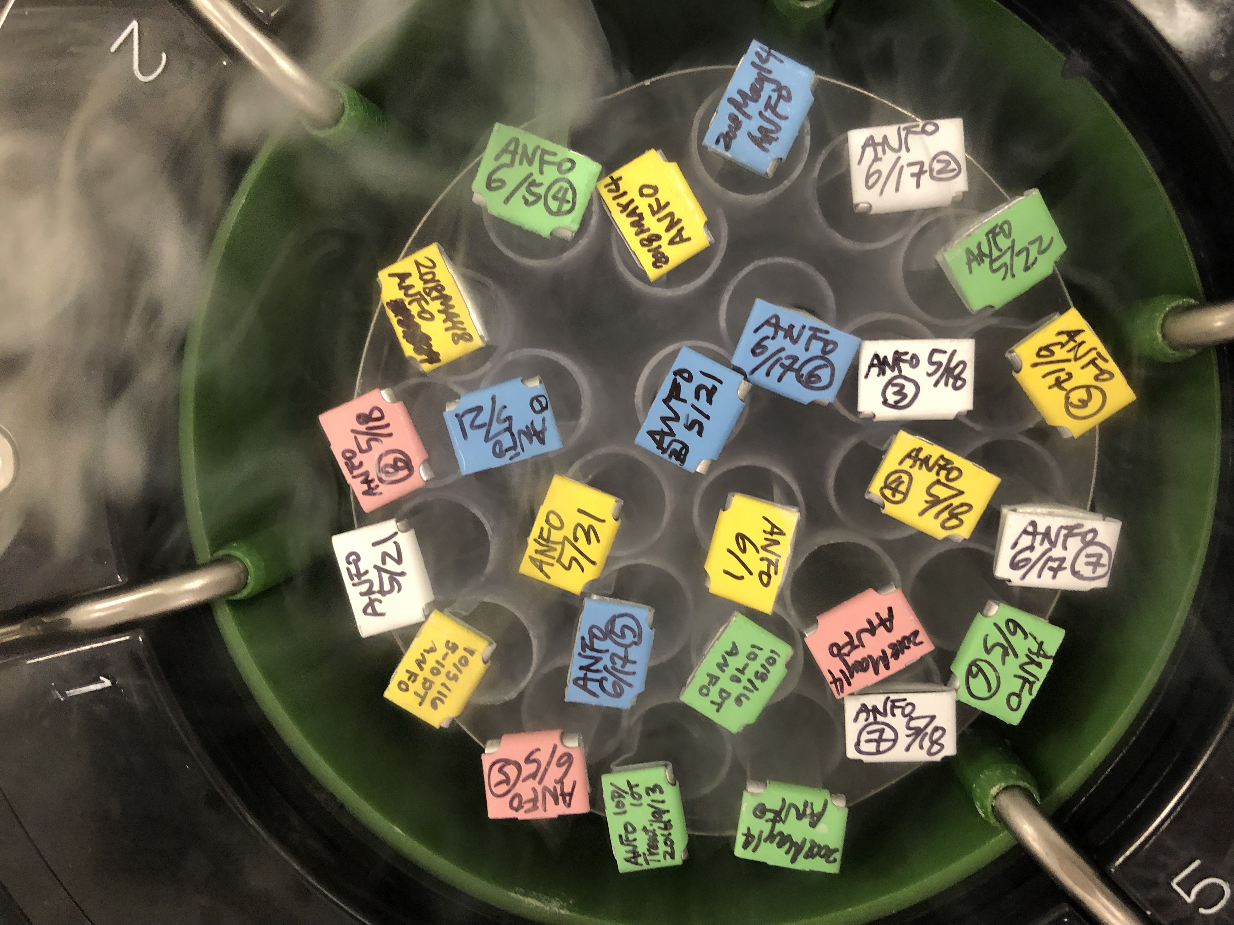 Cryopreservation